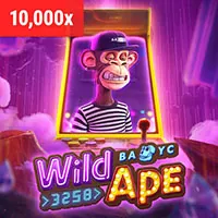 Hình ảnh minh họa công cụ kiểm tra thực tế tại mibet chính thức