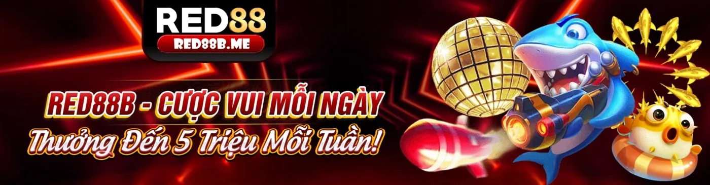 Hình ảnh chính trang Blog Mibet Chính Thức